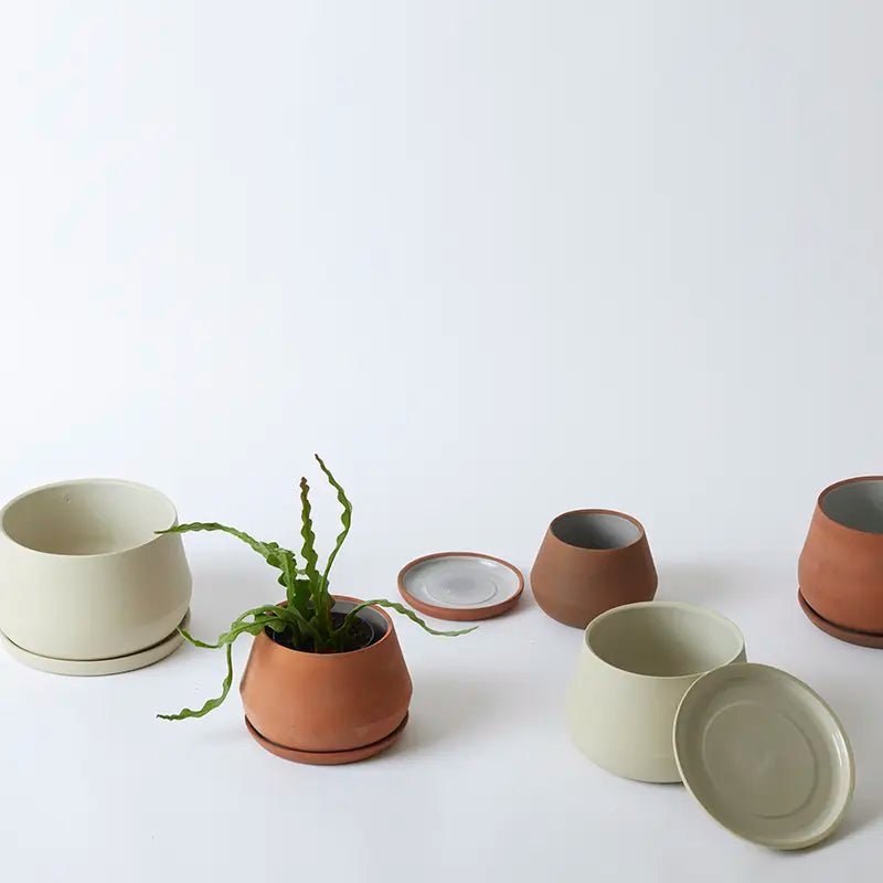 Lbe Design LBE Design: Premium Ceramic Planters & Stands | lily & onyx