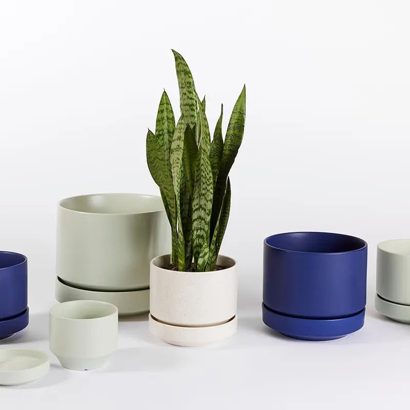 LBE Design Round Two Ceramic Planter - Modern Indoor Plant Pot with Drainage