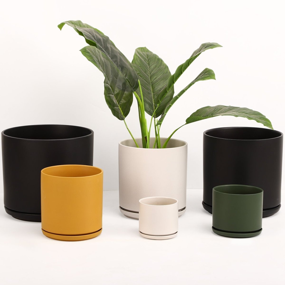LBE Design The Ceramic Cylinder Planter with Drainage Saucer — 2nd Generation
