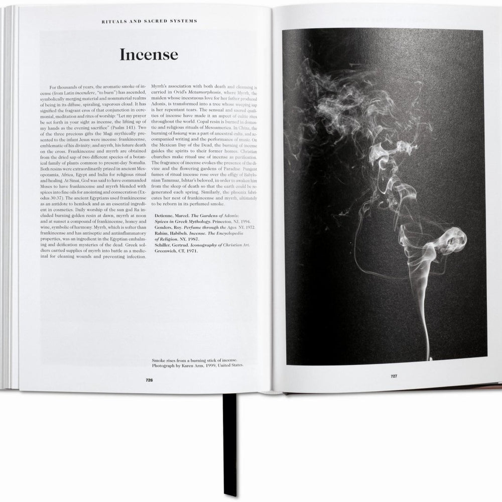 
                      
                        TASCHEN Le Livre des Symboles. Réflexions sur des images archétypales (French) - lily & onyx
                      
                    