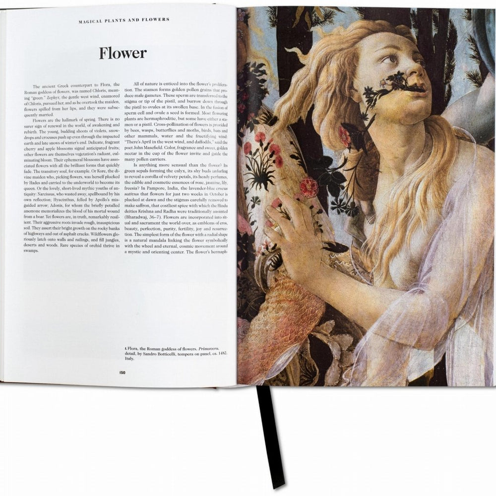 
                      
                        TASCHEN Le Livre des Symboles. Réflexions sur des images archétypales (French) - lily & onyx
                      
                    