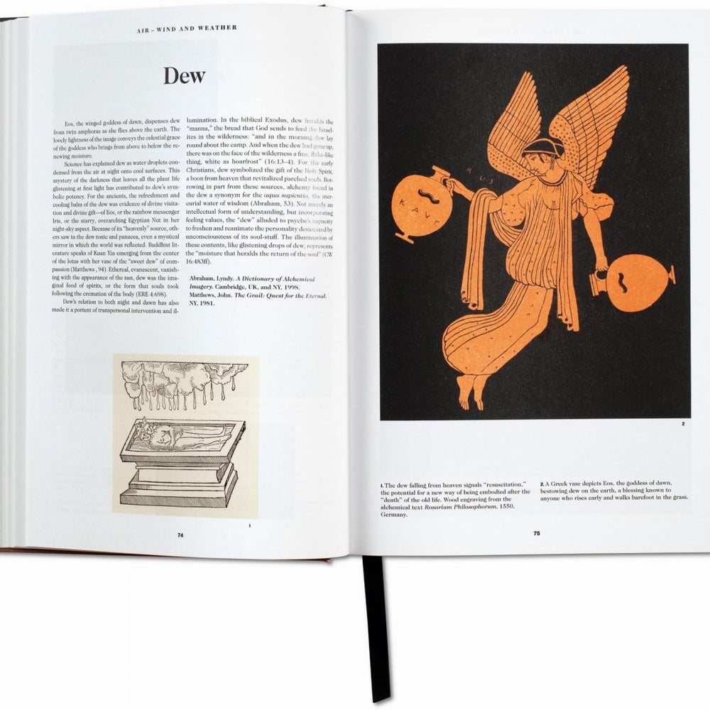 
                      
                        TASCHEN Le Livre des Symboles. Réflexions sur des images archétypales (French) - lily & onyx
                      
                    