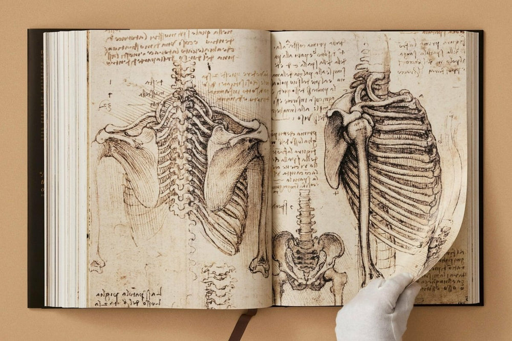 
                      
                        TASCHEN Leonardo. The Complete Paintings and Drawings (English) - lily & onyx
                      
                    
