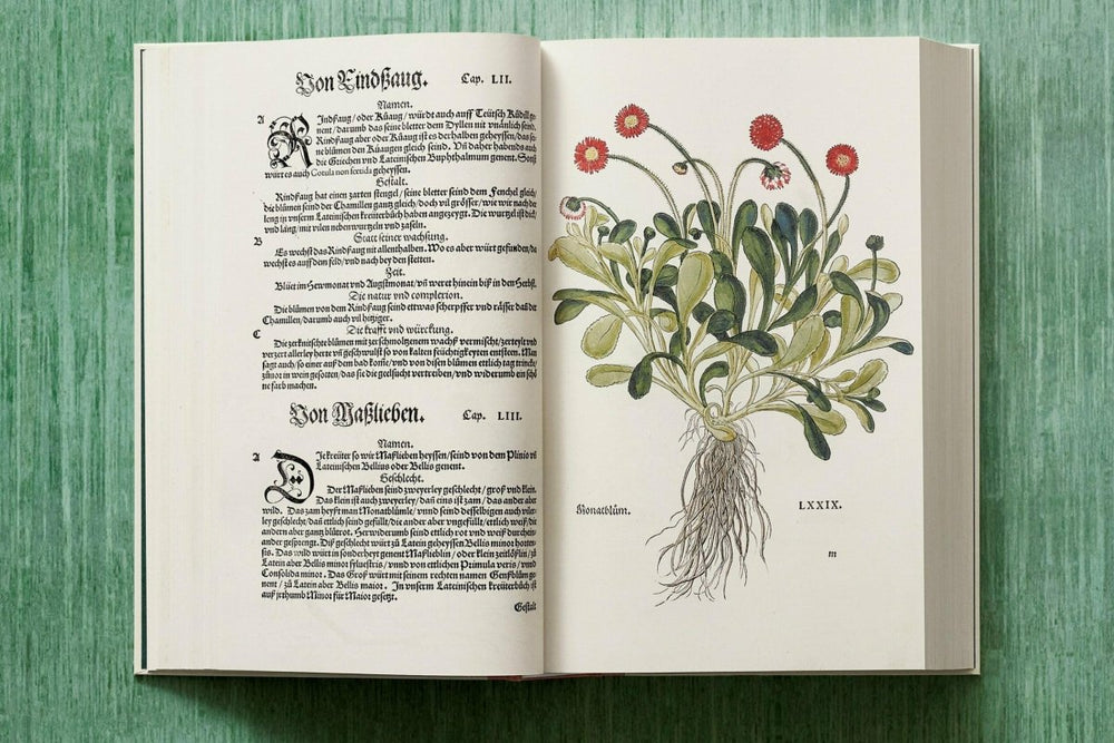 
                      
                        TASCHEN Leonhart Fuchs. The New Herbal (English) - lily & onyx
                      
                    