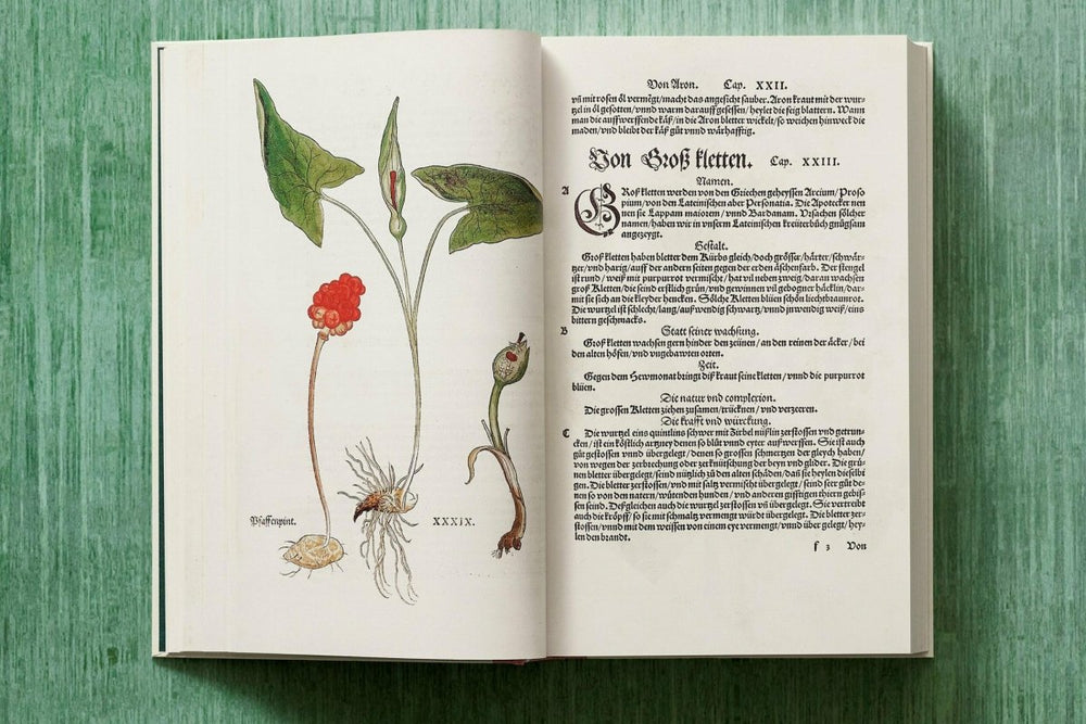 
                      
                        TASCHEN Leonhart Fuchs. The New Herbal (English) - lily & onyx
                      
                    