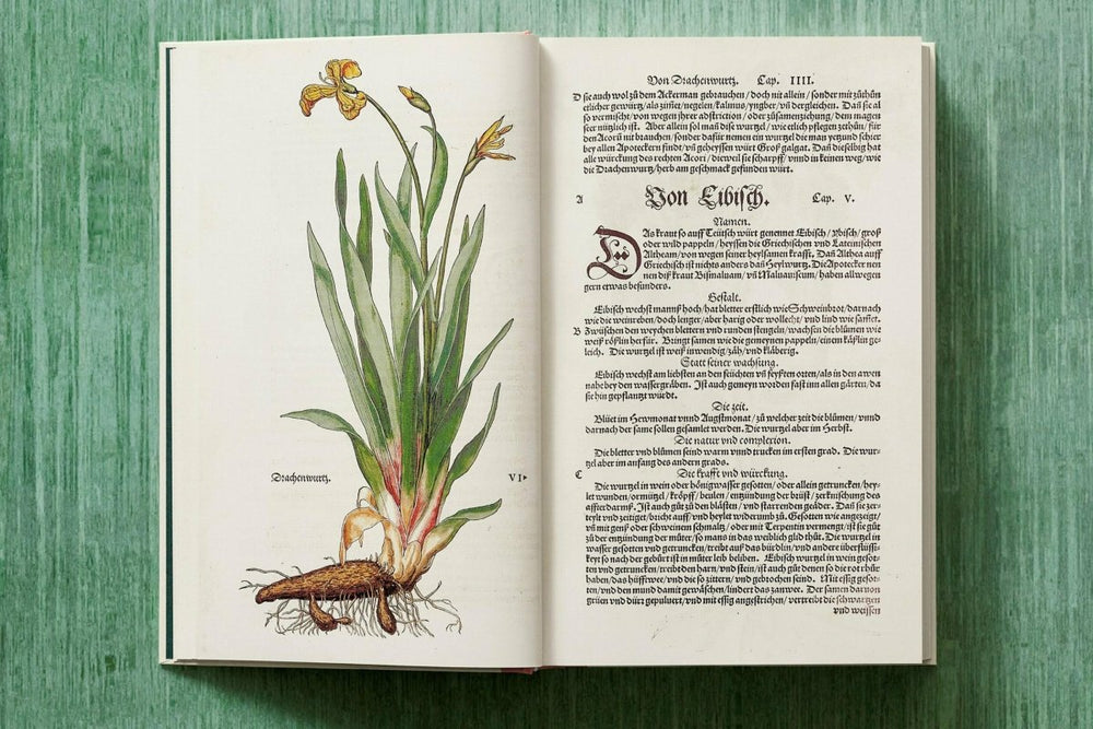 
                      
                        TASCHEN Leonhart Fuchs. The New Herbal (English) - lily & onyx
                      
                    