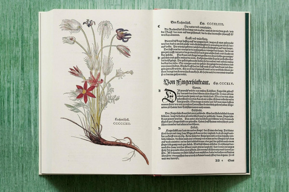 
                      
                        TASCHEN Leonhart Fuchs. The New Herbal (English) - lily & onyx
                      
                    