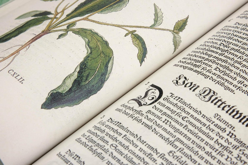 
                      
                        TASCHEN Leonhart Fuchs. The New Herbal (English) - lily & onyx
                      
                    