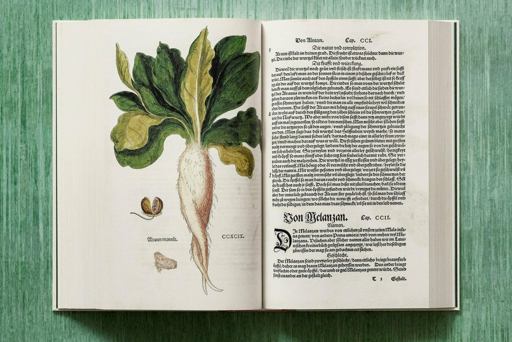 
                      
                        TASCHEN Leonhart Fuchs. The New Herbal (English) - lily & onyx
                      
                    