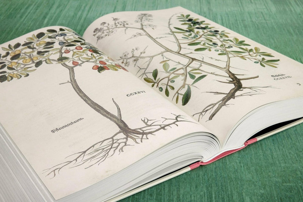
                      
                        TASCHEN Leonhart Fuchs. The New Herbal (English) - lily & onyx
                      
                    