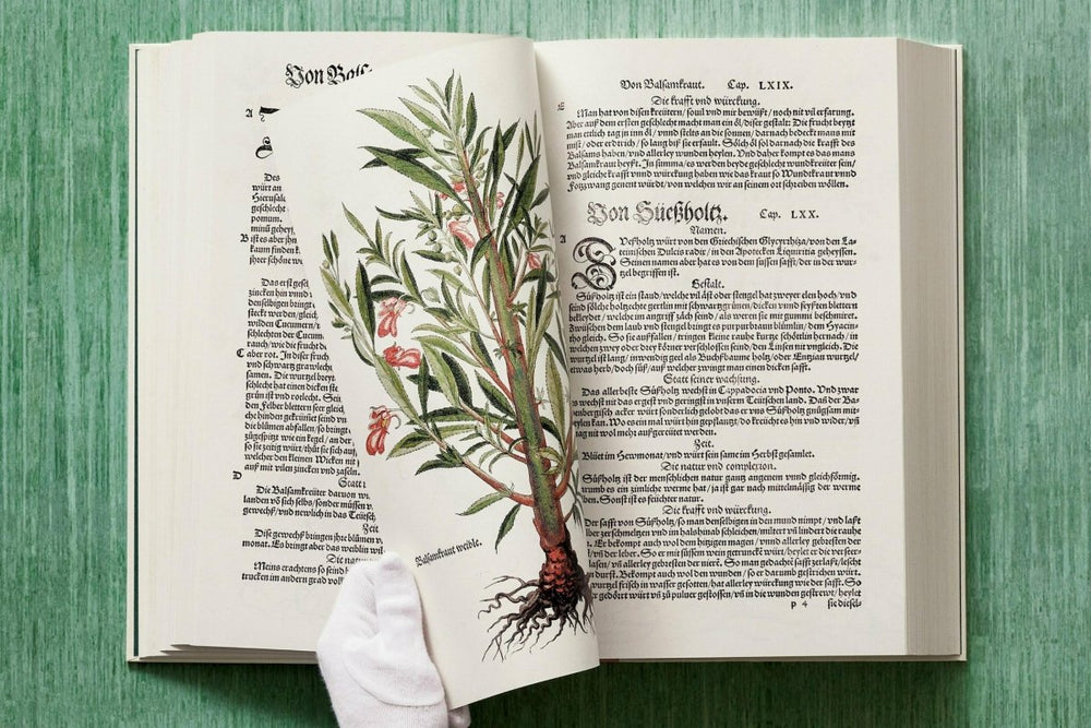 
                      
                        TASCHEN Leonhart Fuchs. The New Herbal (English) - lily & onyx
                      
                    