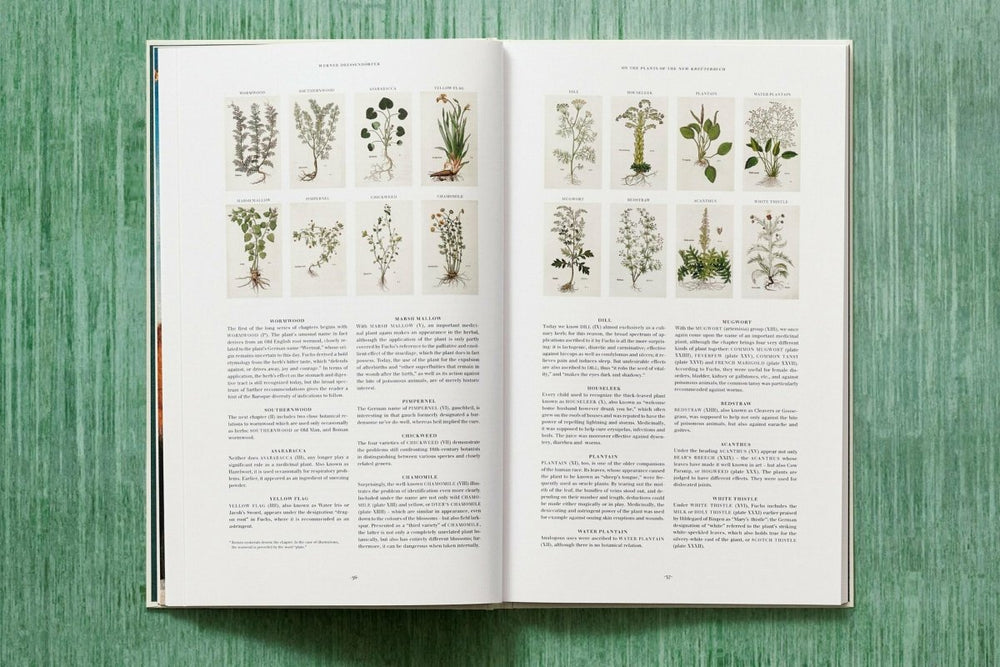 
                      
                        TASCHEN Leonhart Fuchs. The New Herbal (English) - lily & onyx
                      
                    