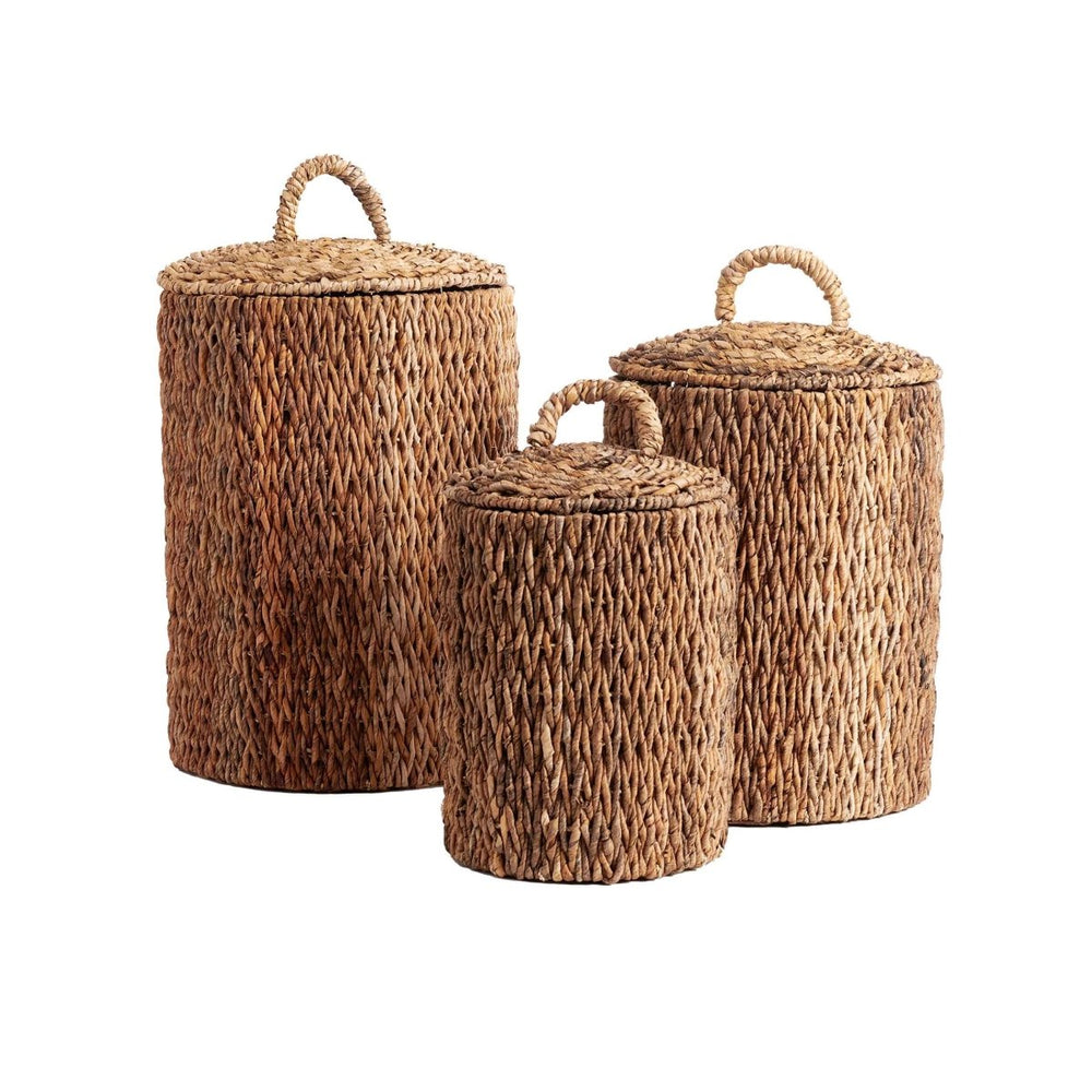 texxture Lesina™ Water Hyacinth Basket, Set of 3 - lily & onyx