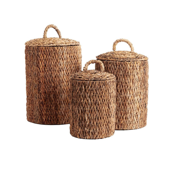 texxture Lesina™ Water Hyacinth Basket, Set of 3 - lily & onyx