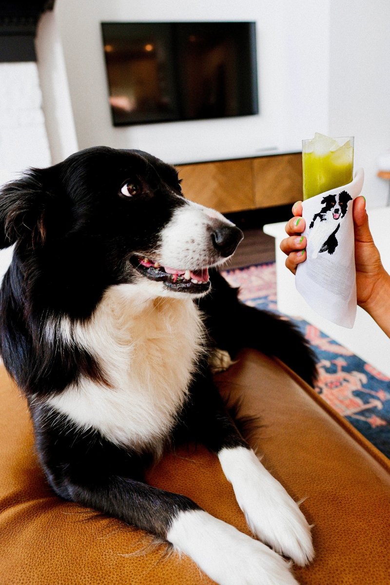 Lettermade Border Collie Embroidered Linen Cocktail Napkins – Set of 4