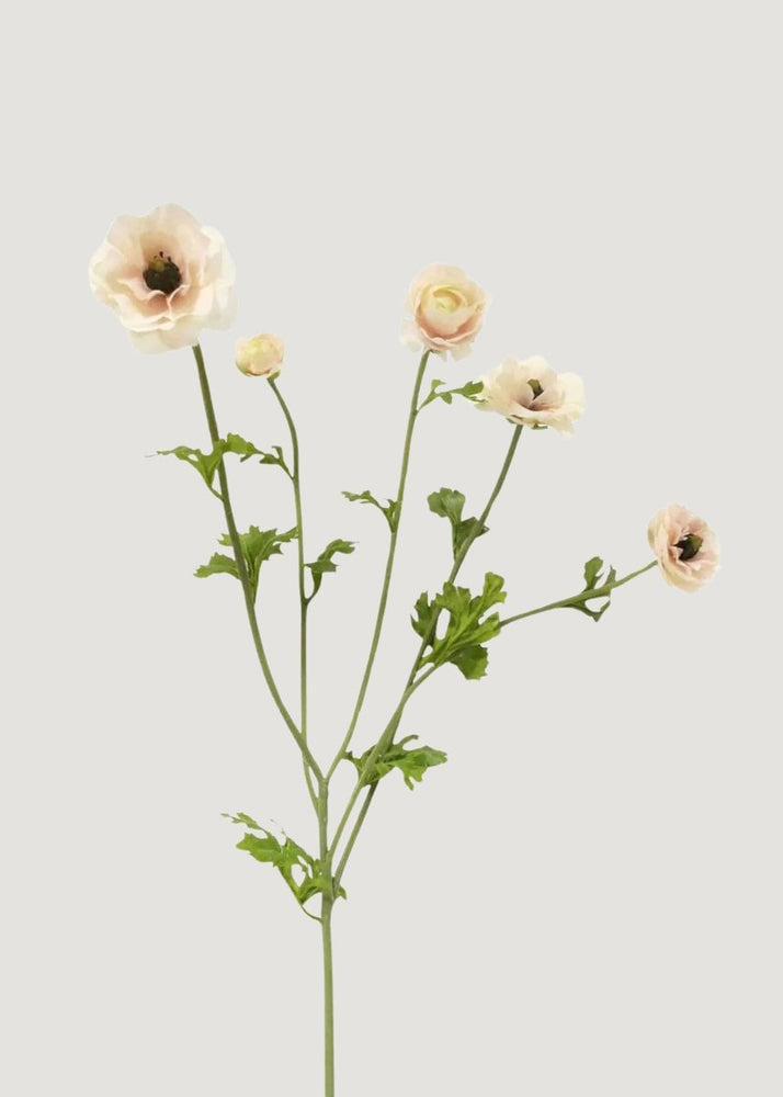 Afloral Light Cream Faux Ranunculus Flowers, 37.5" - lily & onyx