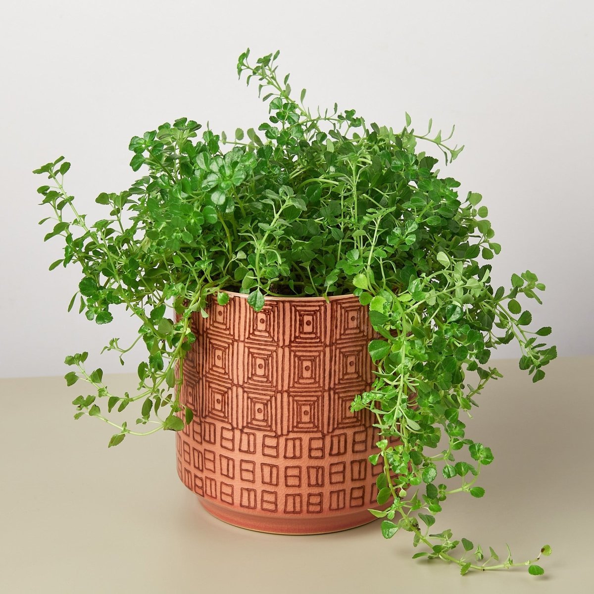 boho planter pot Pepe Pot PINK