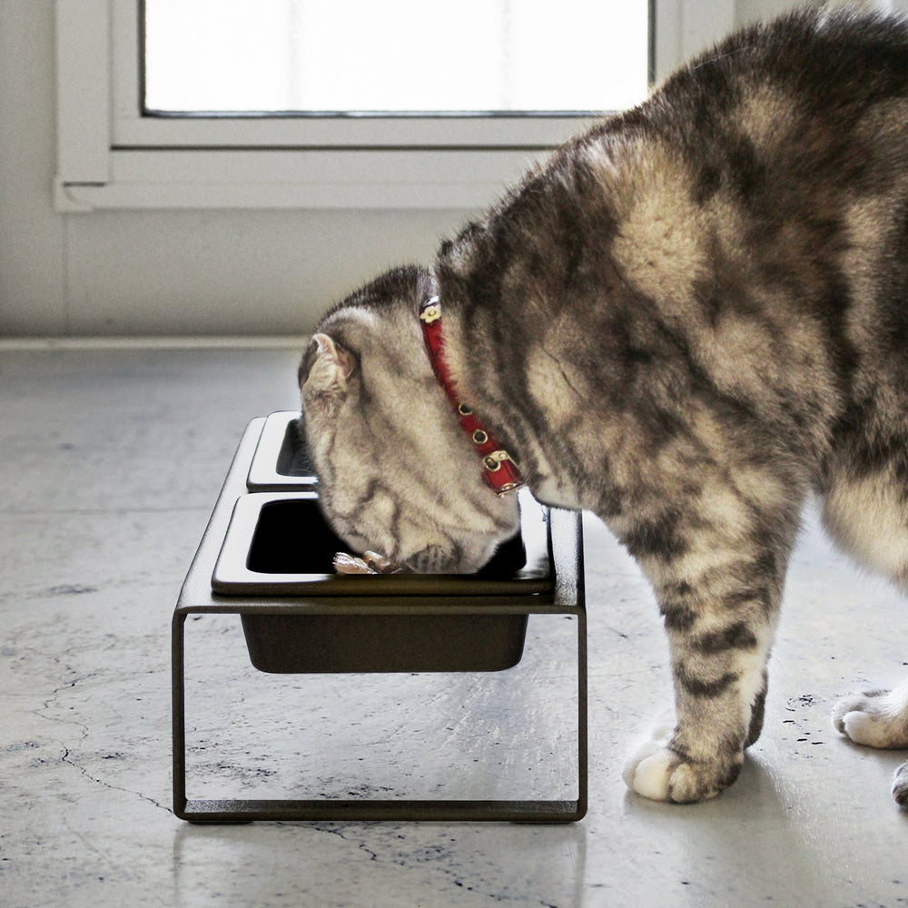 
                      
                        Pet Food Bowl
                      
                    