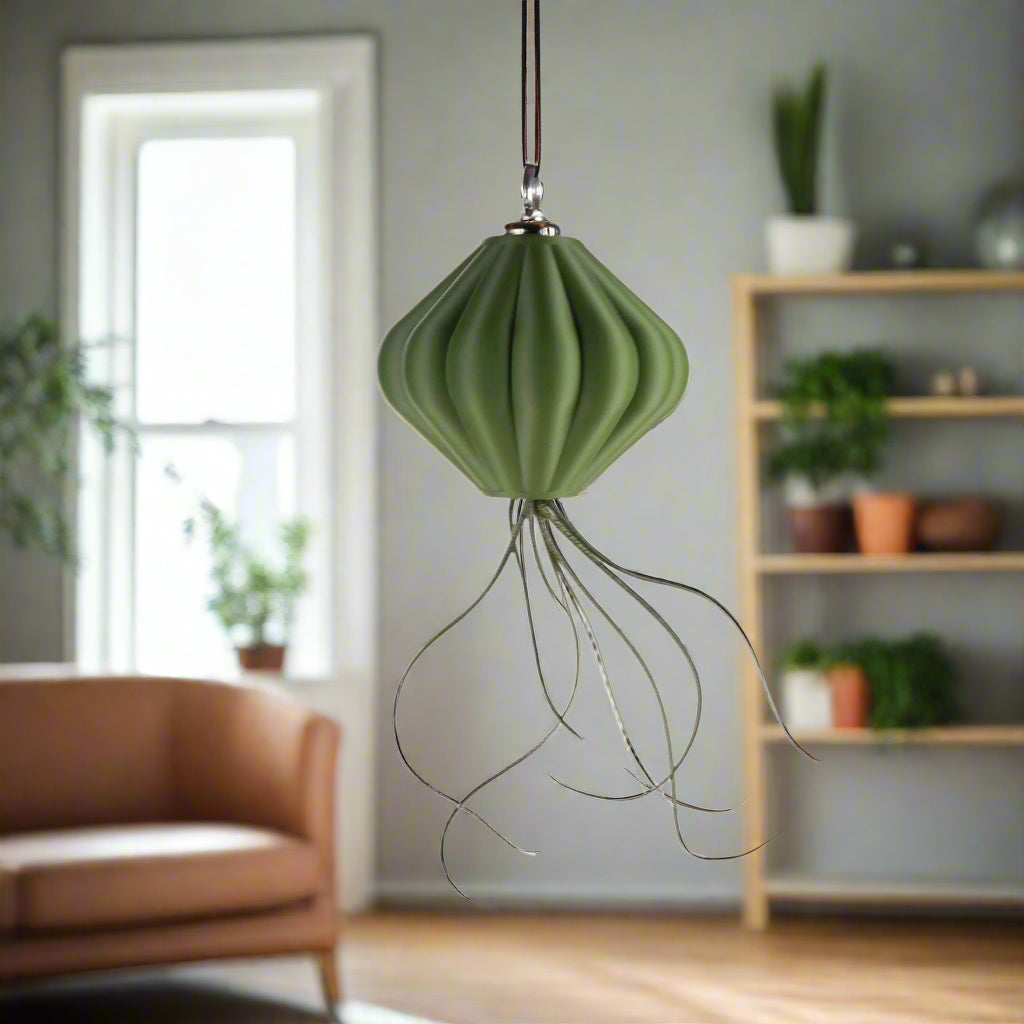 Magnetic Lunar Lamp Shade Hanging Planter with Air Plant