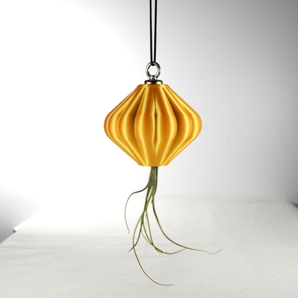 
                      
                        Rosebud HomeGoods Magnetic Lunar Lamp Shade Hanging Planter with Air Plant - lily & onyx
                      
                    