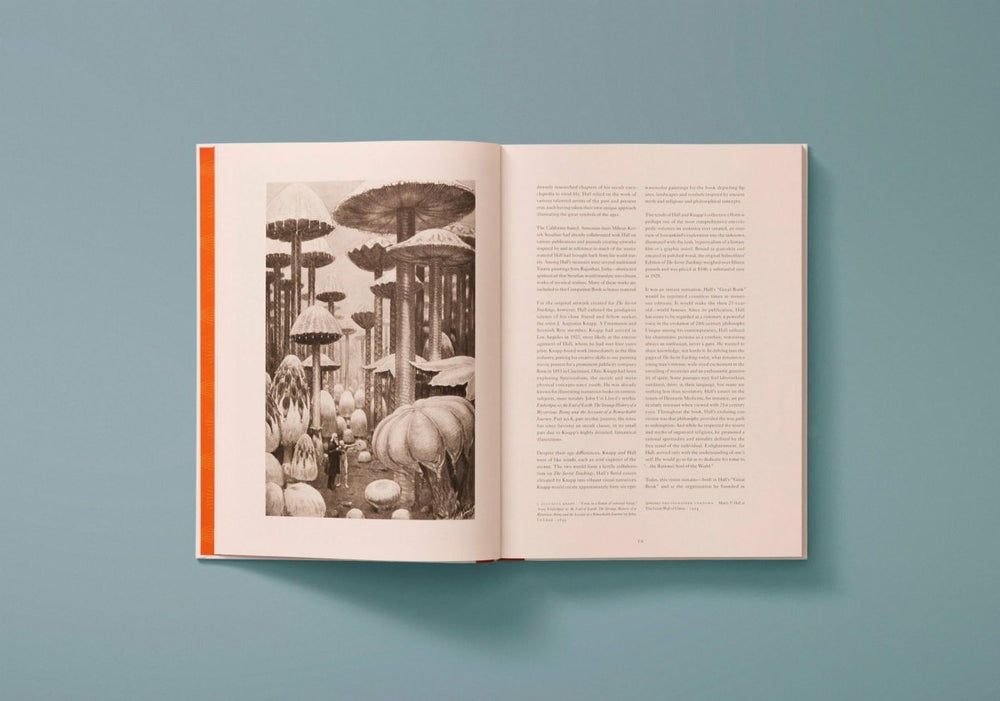 
                      
                        TASCHEN Manly Palmer Hall. Secret Teachings of all Ages (English) - lily & onyx
                      
                    