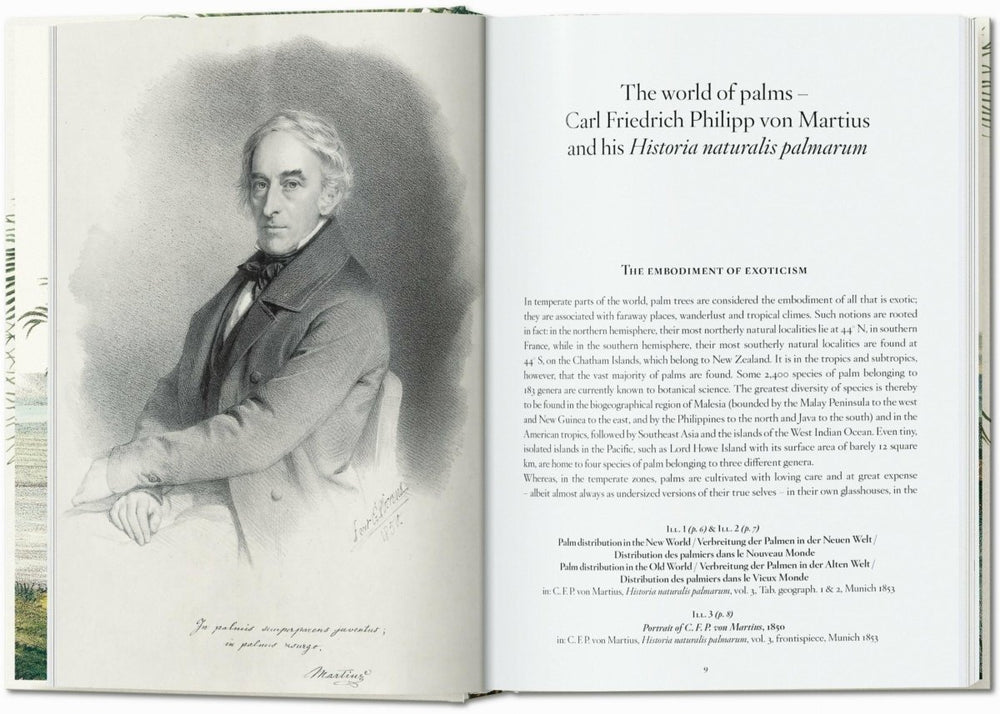 
                      
                        TASCHEN Martius. El libro de las palmeras. 40th Ed. (Spanish, Italian, Portuguese)
                      
                    