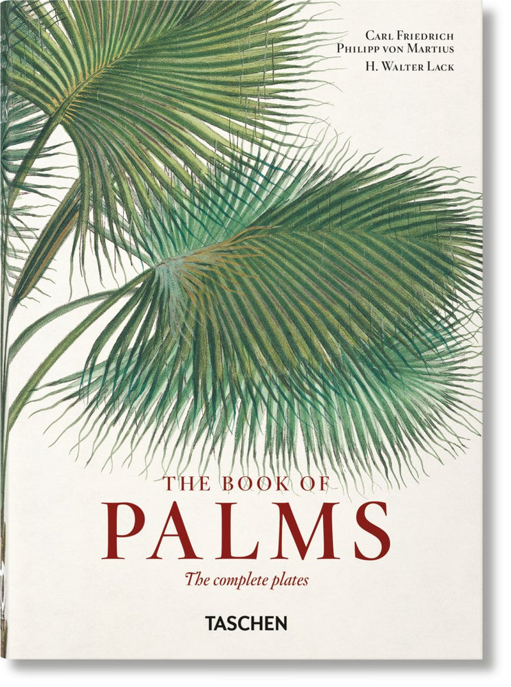 TASCHEN Martius. The Book of Palms. 40th Ed. (German, French, English) - lily & onyx