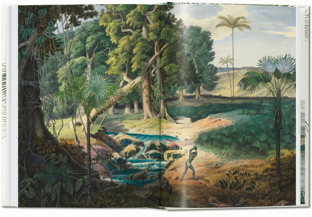 
                      
                        TASCHEN Martius. The Book of Palms. 40th Ed. (German, French, English) - lily & onyx
                      
                    