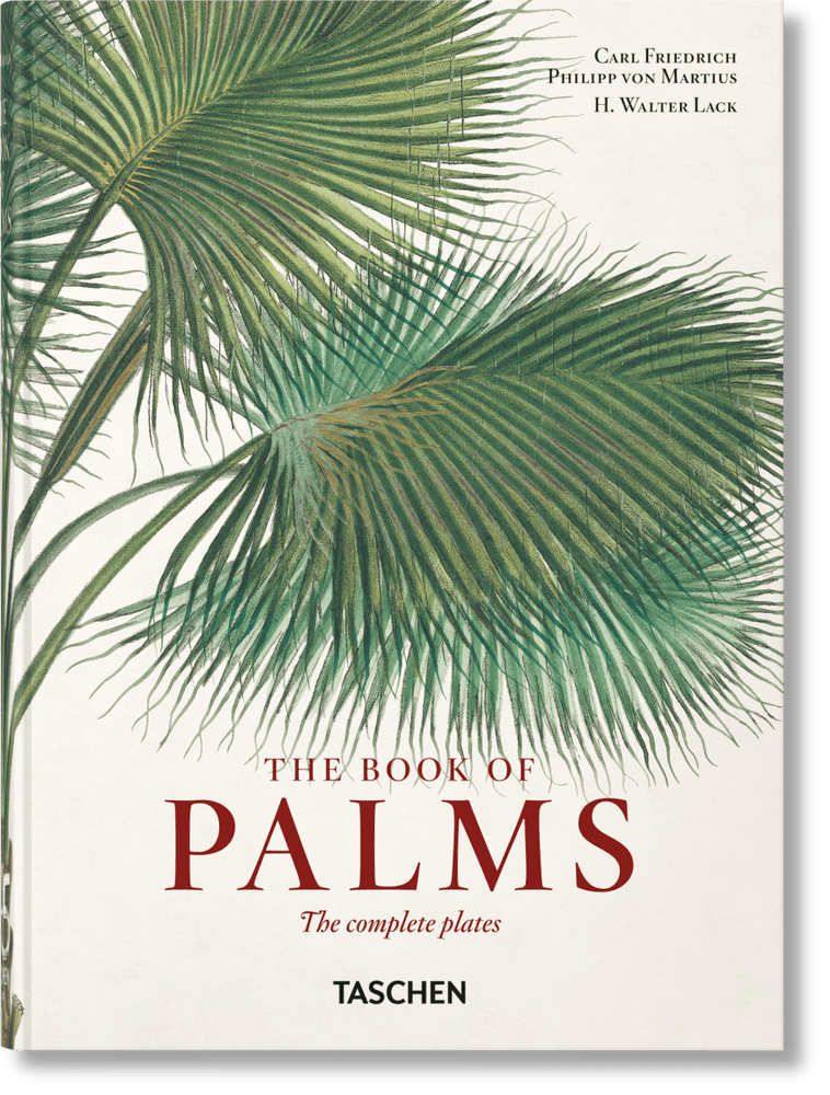 
                      
                        TASCHEN Martius. The Book of Palms. 40th Ed. (German, French, English) - lily & onyx
                      
                    