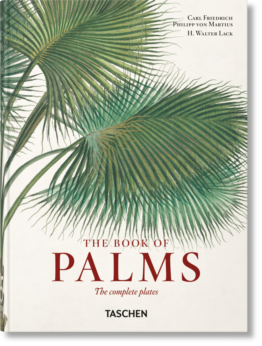 TASCHEN Martius. The Book of Palms. 40th Ed. (German, French, English) - lily & onyx