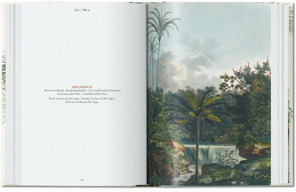 
                      
                        TASCHEN Martius. The Book of Palms. 40th Ed. (German, French, English) - lily & onyx
                      
                    