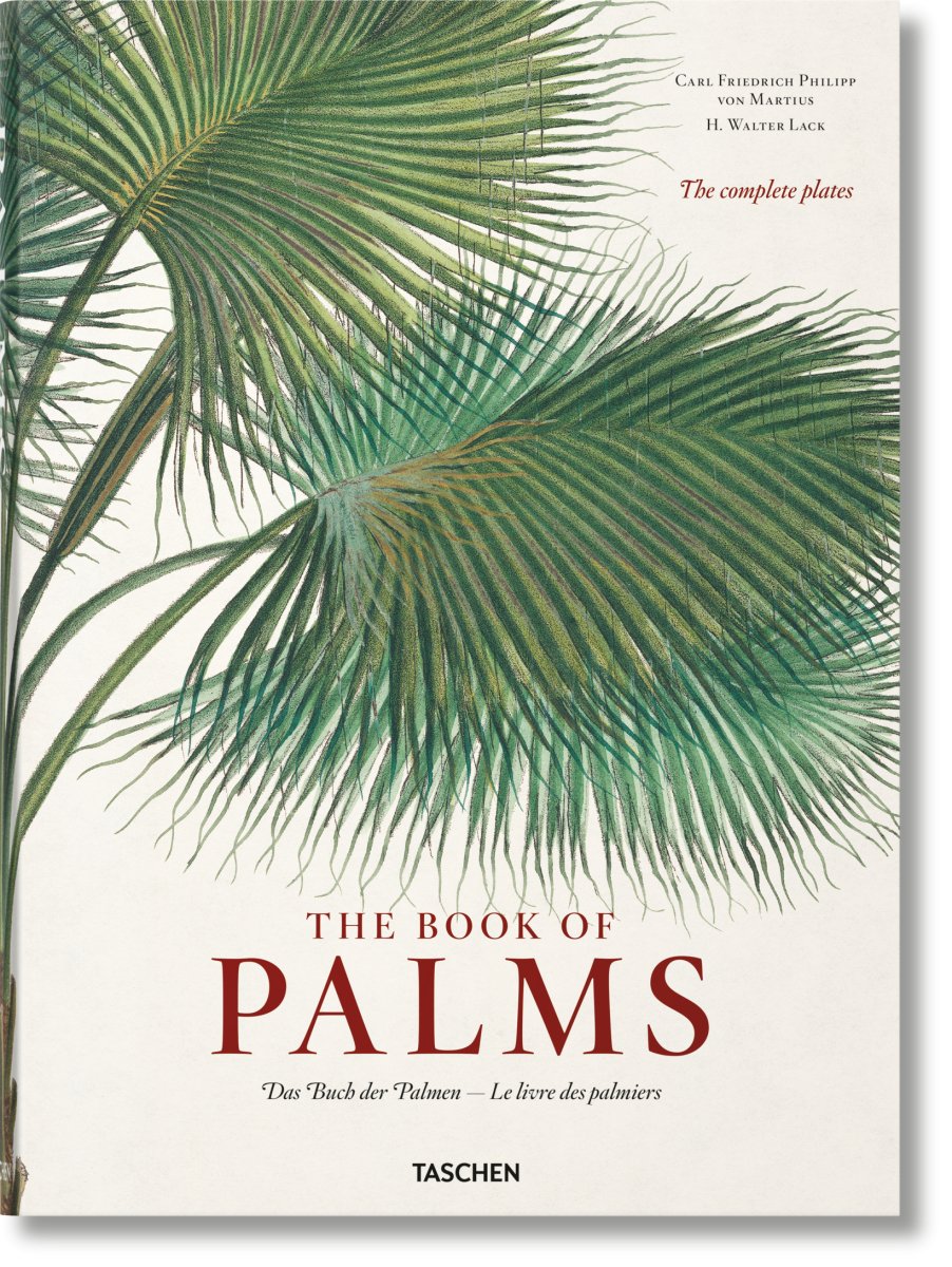 TASCHEN Martius. The Book of Palms (German, French, English) - lily & onyx