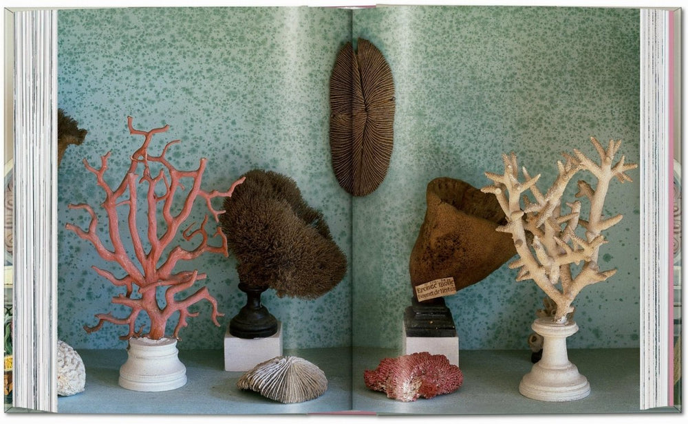 
                      
                        TASCHEN Massimo Listri. Cabinet of Curiosities. 40th Ed. (German, French, English) - lily & onyx
                      
                    