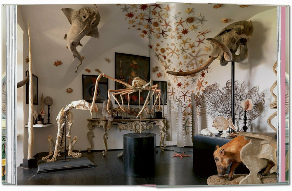 
                      
                        TASCHEN Massimo Listri. Cabinet of Curiosities. 40th Ed. (German, French, English) - lily & onyx
                      
                    
