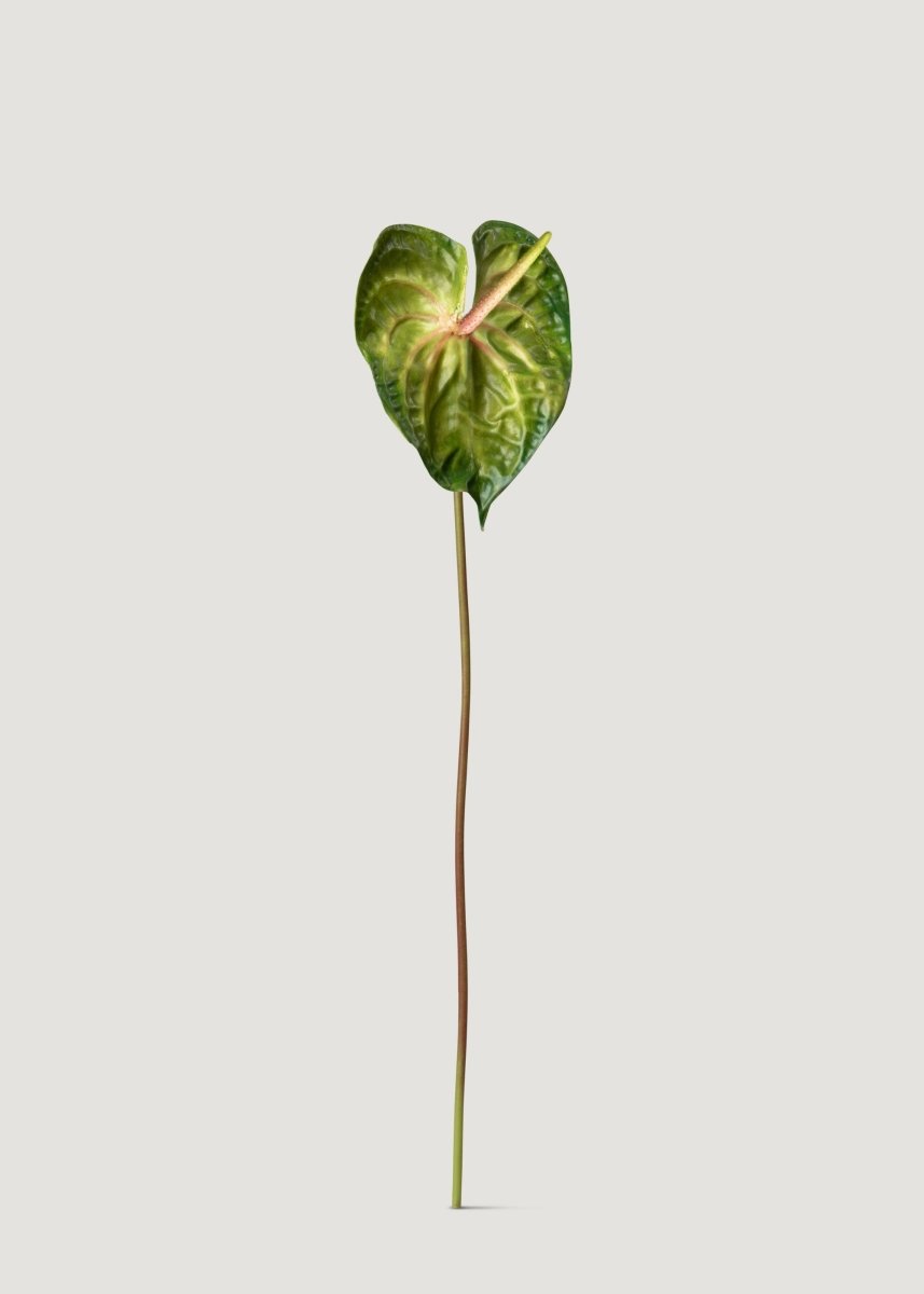 Afloral Mauve and Green Artificial Tropical Anthurium - 28" - lily & onyx