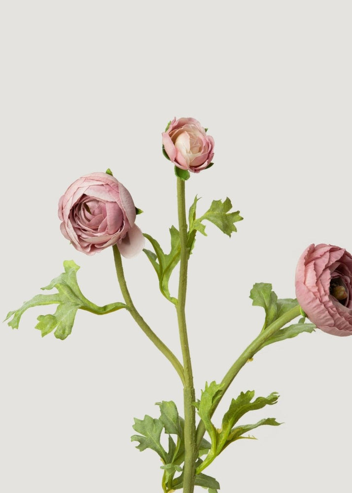 
                      
                        Afloral Mauve Real Touch Ranunculus Fake Flowers - 18.5" - lily & onyx
                      
                    