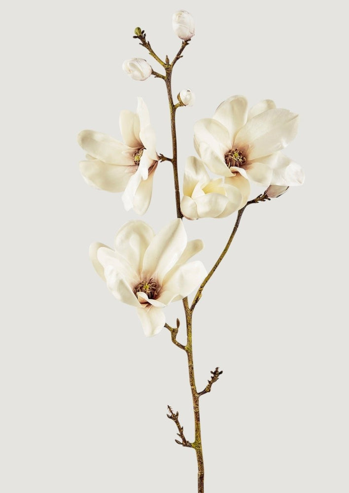 
                      
                        Afloral Mauve Taupe Artificial Magnolia Flower Branch - 29" - lily & onyx
                      
                    