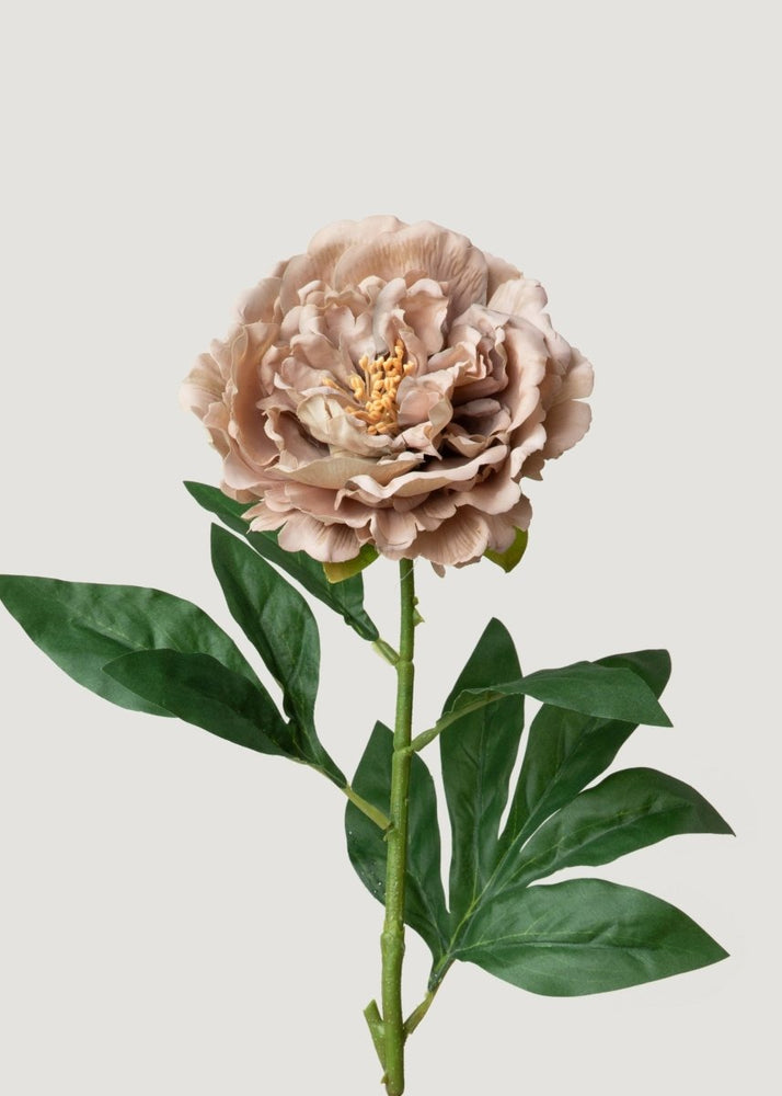 
                      
                        Afloral Mauve Taupe Real Touch Peony Fake Flower - 24.5" - lily & onyx
                      
                    