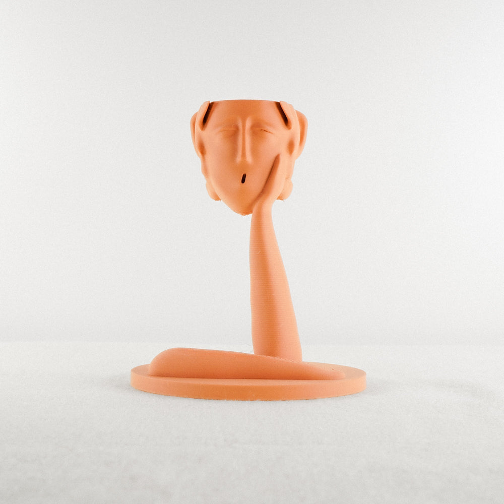 
                      
                        Medusa Air Head Planter
                      
                    
