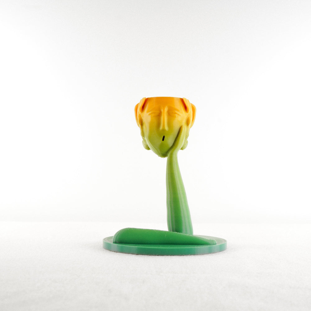 
                      
                        Medusa Air Head Planter
                      
                    
