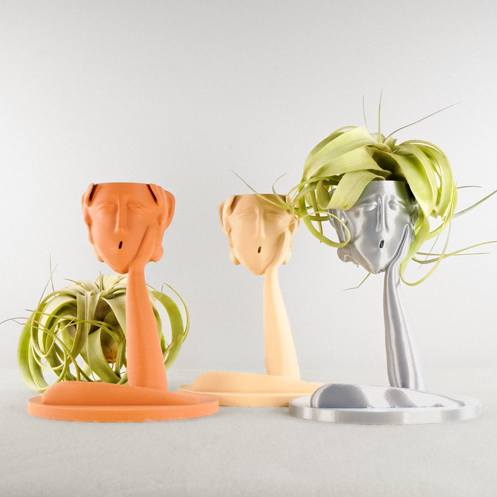 
                      
                        Medusa Air Head Planter
                      
                    