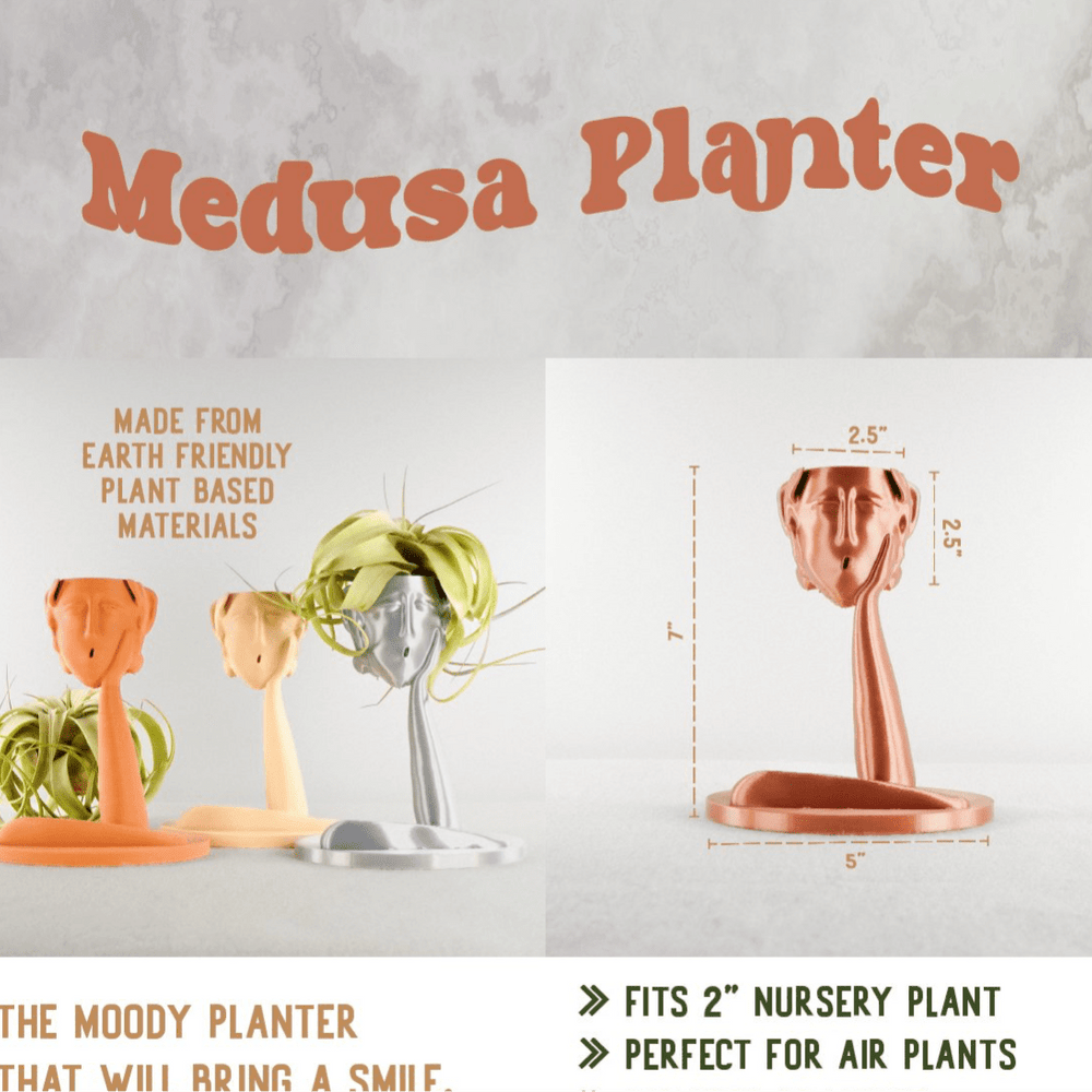 
                      
                        Rosebud HomeGoods Medusa Air Head Planter - lily & onyx
                      
                    