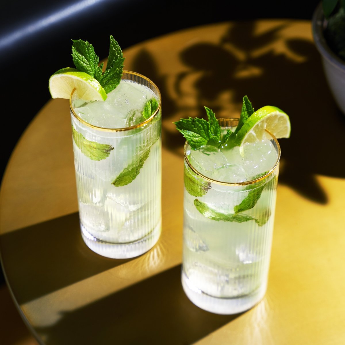 Viski Meridian Crystal Highball Glasses, Set of 2 - lily & onyx