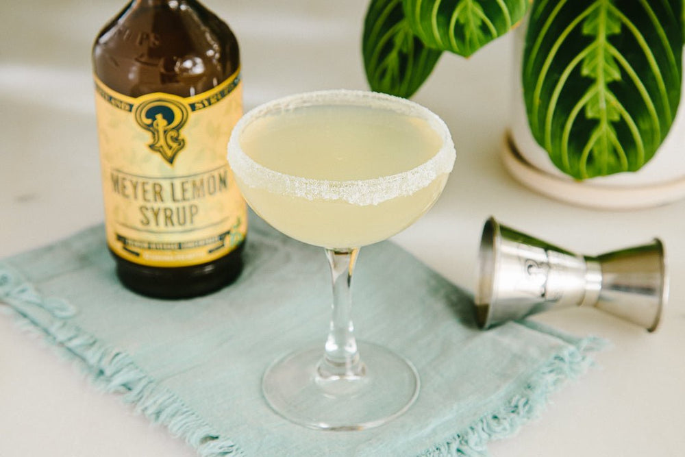 
                      
                        Portland Syrups Meyer Lemon Syrup, 2 Pack - lily & onyx
                      
                    