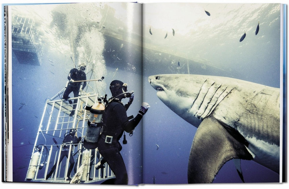 
                      
                        TASCHEN Michael Muller. Sharks (English) - lily & onyx
                      
                    