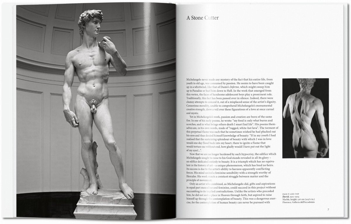 TASCHEN Michelangelo (English) - lily & onyx