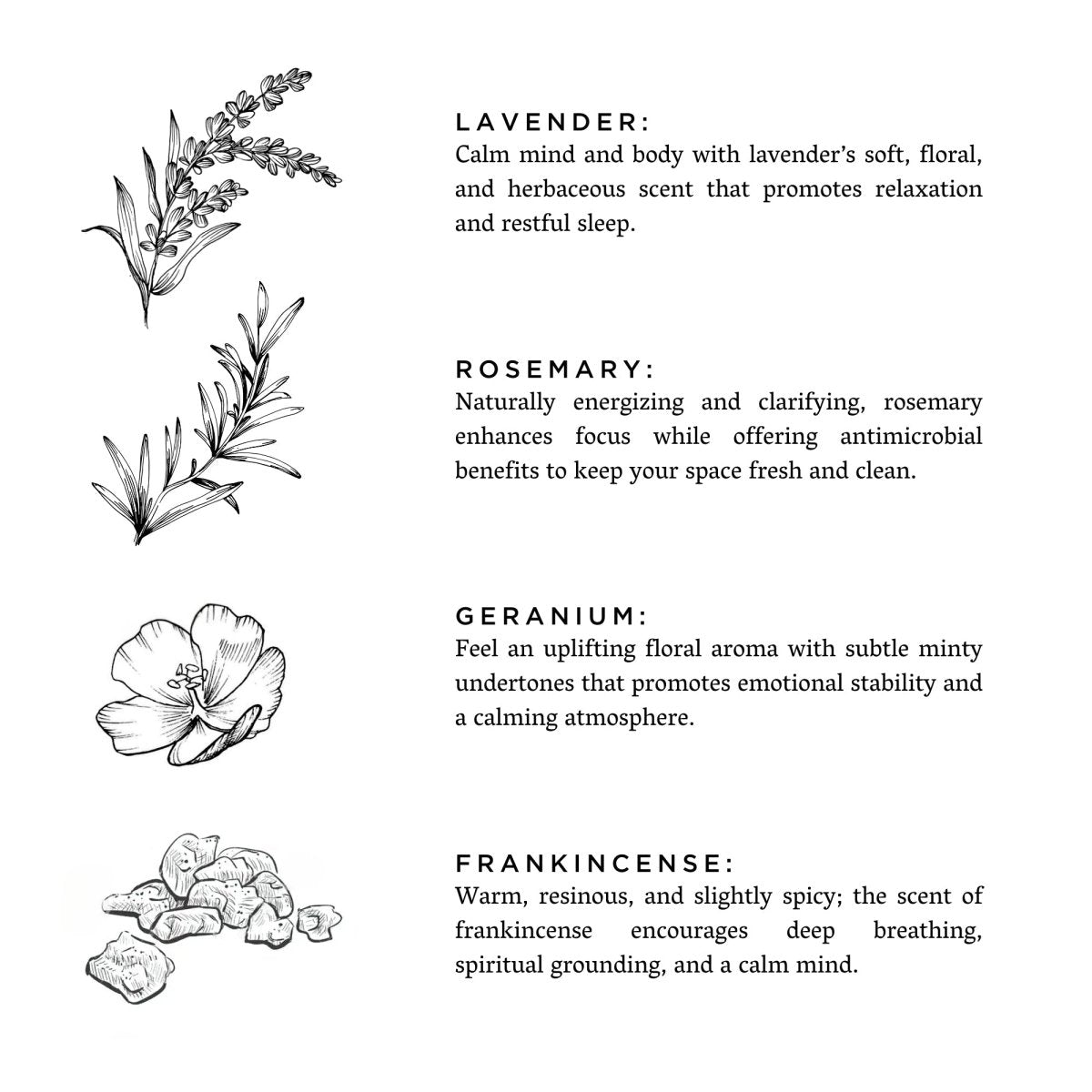 Slow North Midnight Garden | Lavender + Rosemary + Geranium | Frosted Candle, 8 oz - lily & onyx
