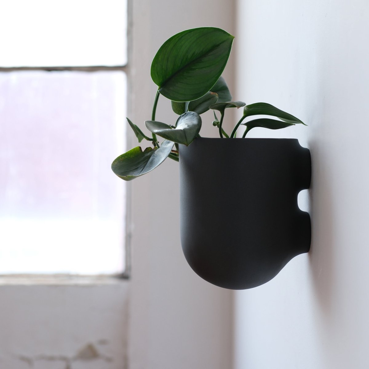 Misewell Bender Wall Planter | Handcrafted Ceramic Indoor & Outdoor Planter