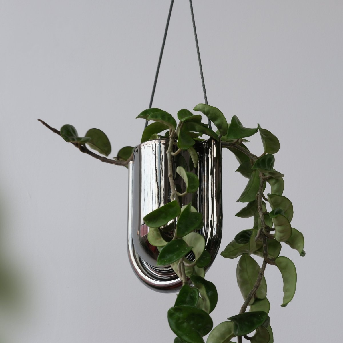 Misewell Portico Hanging Planter in Chrome | Handcrafted Stoneware Ceramic Planter with Drainage