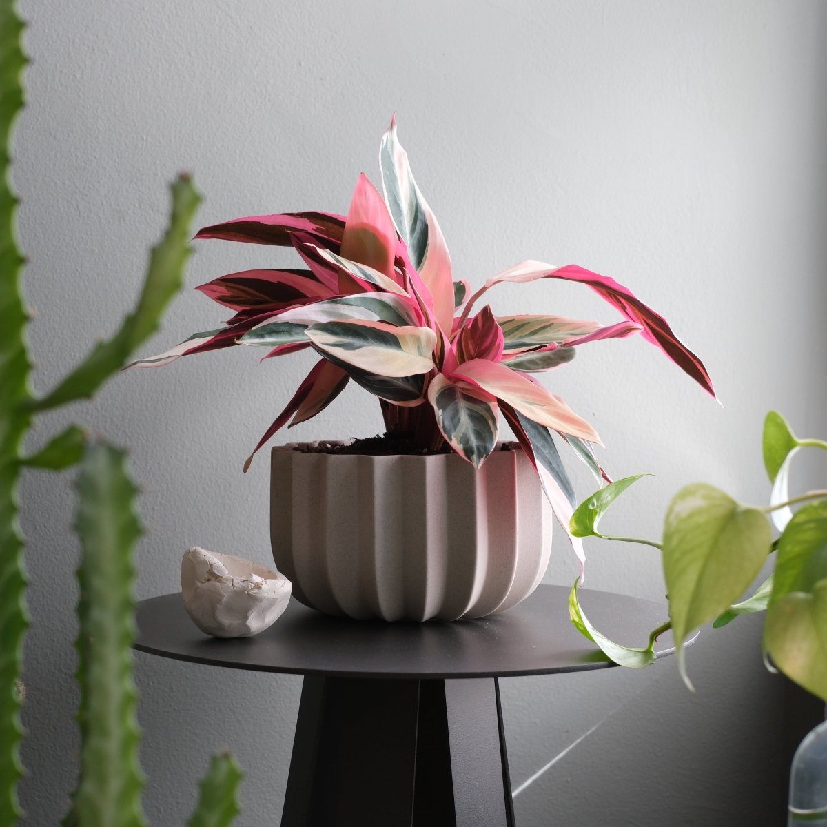 Misewell Wrap Planter | Handcrafted Ridged Ceramic Planter in 4 Sizes